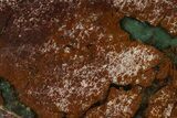 Polished Green Chrysoprase Slab - Western Australia #364240-1